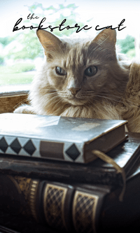 The Bookstore Cat